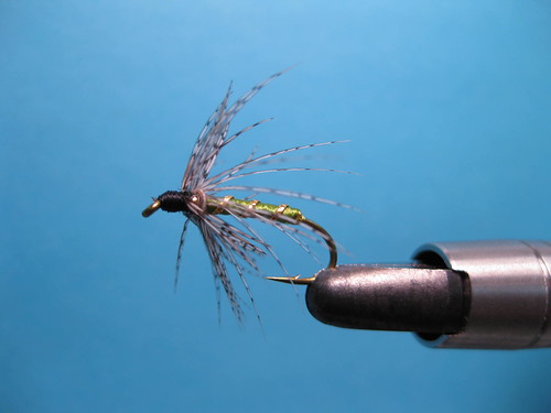 Nickel’s Green Caddis Rockworm: Fly tying video | The Caddis Fly ...