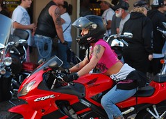How Much Does Motorcycle Insurance Cost?