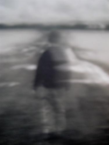 Scott Heim, Le sparizioni. Neri Pozza 2008. Deborah Raven / Photonica / Getty Images; Studio Bosi: copertina (part.), 6