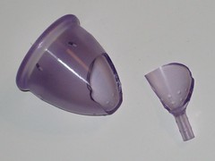 Lilac Cup Split!