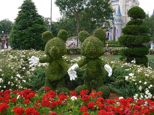 Mickey and Minnie topiary