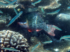 P2270004