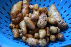 potatoes in blue collander