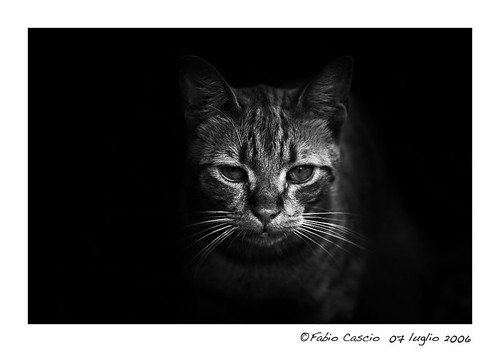 Coming from the dark
