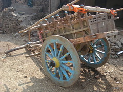 A bull cart with no rider