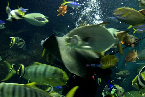 上越市立水族博物館