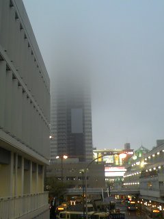 今日のタワーです。２５階ぐらいから霧（？...