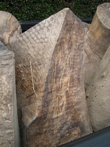Eucalyptus log with quilted look to its cut faces