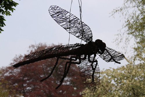 Dragonfly in a gardening exposition