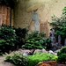 Japanese garden