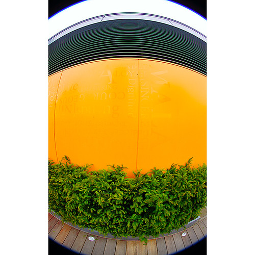 Great Ormond Street hospital roof garden Great Ormond Street hospital roof garden