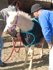 Anglų lietuvių žodynas. Žodis horse blanket reiškia arklių antklodė lietuviškai.