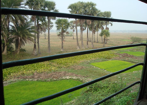 From the train window at a remote location in West Bengal