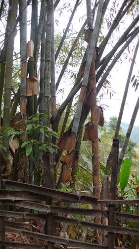 Bamboo husks used to make tong wrappers
