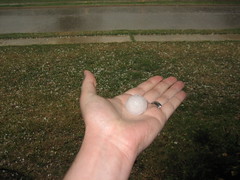 Big hail stone