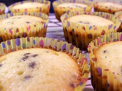 Chocolate Chip Cupcakes - Cooling