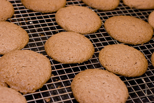 chocolate butter cookies 2