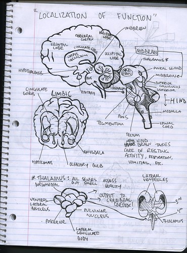 Neuroscience Notebook