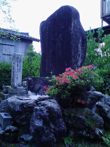 隆泉寺の白藤とツツジ