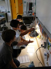 4/5 Technology student explore CFLs versus Incandescents - Envirotech