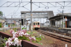 �i�q�䏊�w(4)