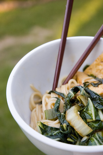 04.06.2009: noodles with bok choy and tofu (by bookgrl)