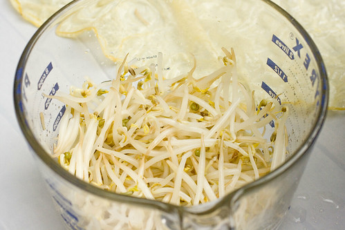 blanched mung bean sprouts