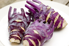 purple Kohlrabi