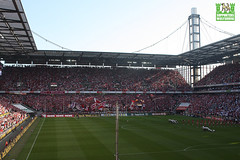 1. FC Köln, TSG 1899 Hoffenheim, Ralf Rangnick, Zvonimir Soldo, Martin Lanig