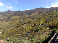 Gran Canaria - Tenteniguada's Valley