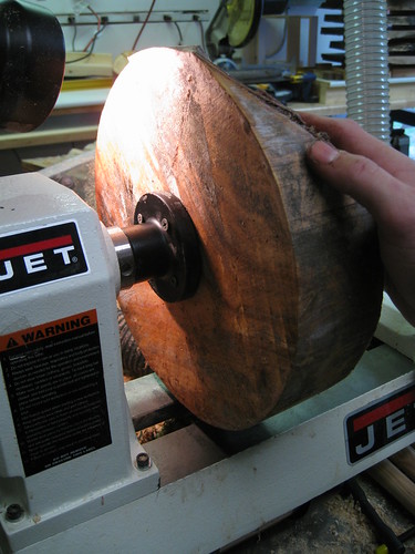 Ficus blank chucked for turning