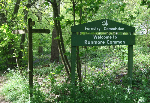 ranmorecommon-signs
