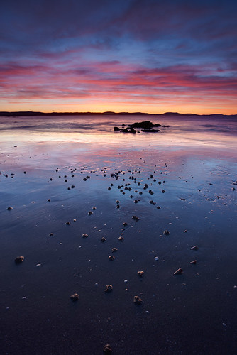 Roaches Beach Sunrise Vivid Blue by BrendanDavey