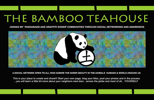 THE BAMBOO TEAHOUSE..PANDARAZZI SOCIAL NETWORK