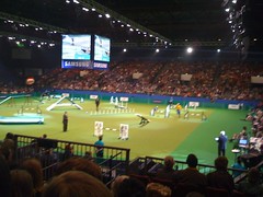 Crufts