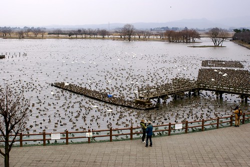 瓢湖
