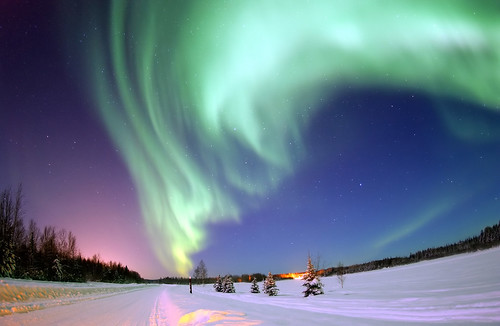Aurora Borealis, the colored lights seen in the skies around the North Pole, the Northern Lights, from Bear Lake, Alaska, Beautiful Christmas Scene, Winter Star Filled Skies, Scenic Nature