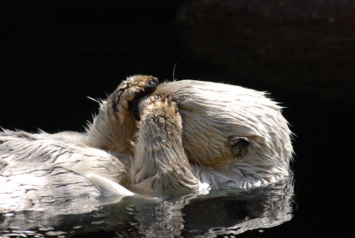 dsc_8904.jpg