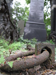 Zentralfriedhof, Vienna