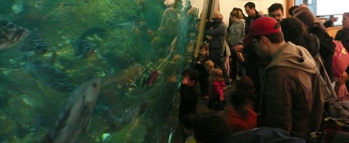 Aquarium Entry Tank