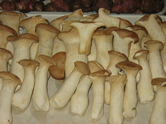 Mushrooms at the Naschmarkt