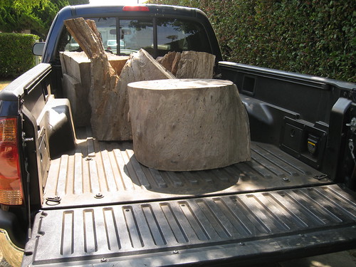 a haul of Eucalyptus logs in my truck