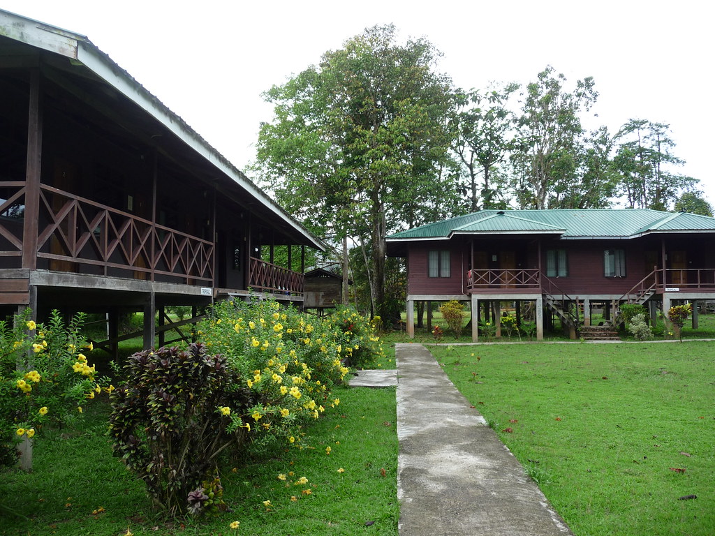 Mulu Lodge (6)