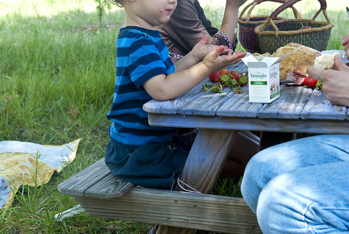 strawberry picnic