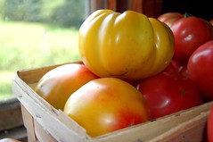 Striped German Heirloom Tomatoes
