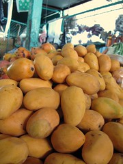Mangoes - Puerto Escondido, Mexico