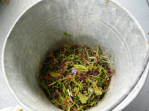 diy dry organic matter fertilizer ready to be prepped in a bucket