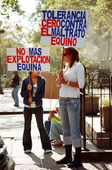 Protesto contra a exploração de equinos