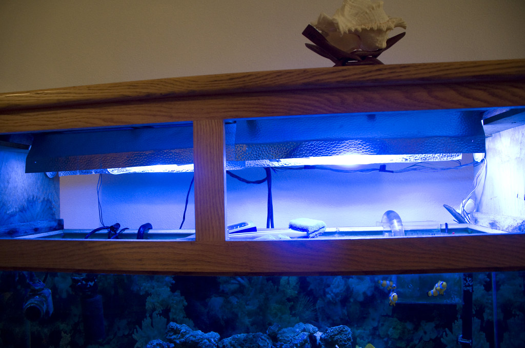 Lighting Question For Aquarium With Canopy Reef Sanctuary