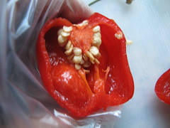 Inside a chili